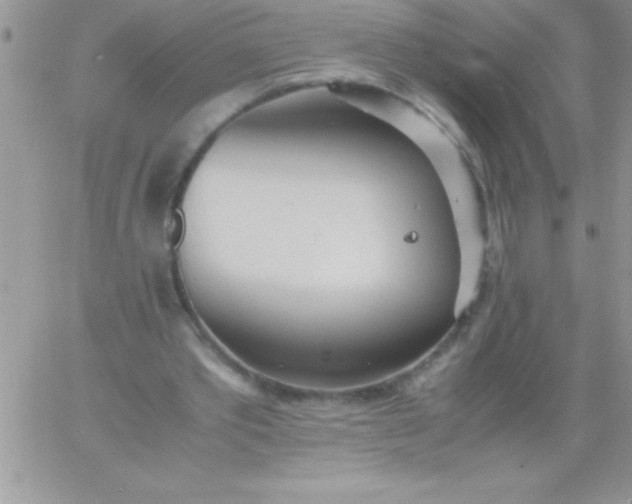 X0000060750389200511241708