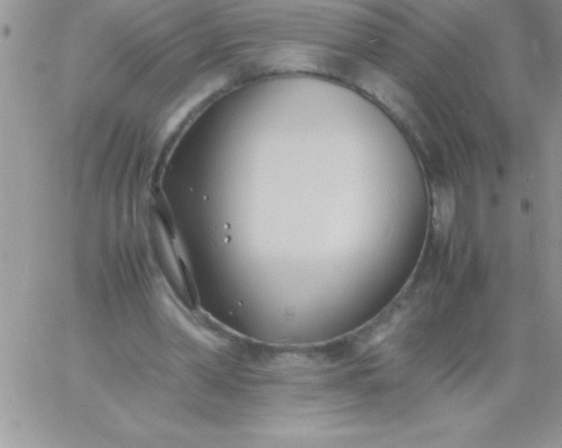 X0000060750390200511241708