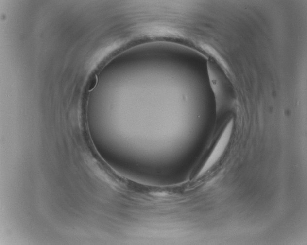 X0000060750391200511241708