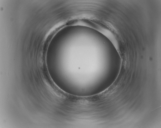 X0000060750392200511241708