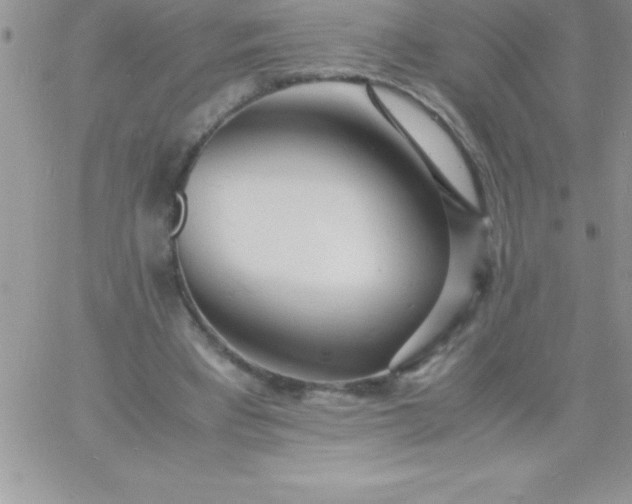 X0000060750393200511241708