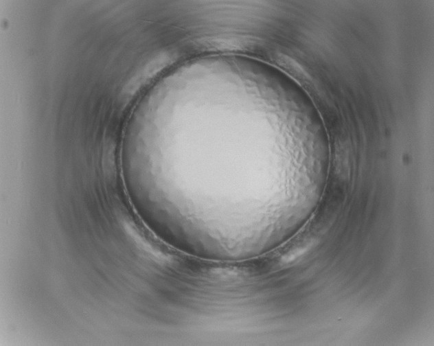 X0000060750394200511241708