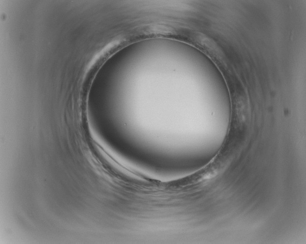 X0000060750395200511241708