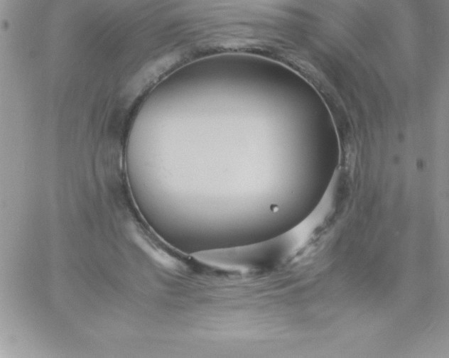 X0000060750397200511241708