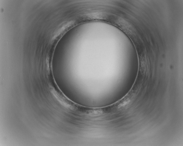 X0000060750398200511241708