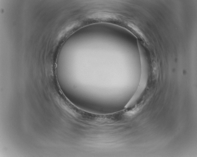 X0000060750399200511241708