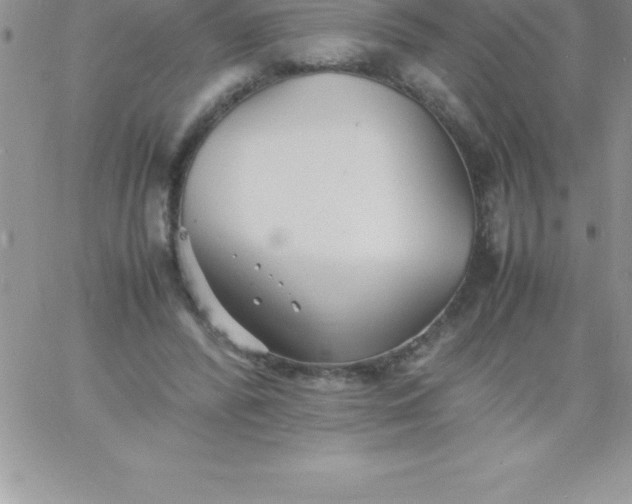 X0000060750400200511241708