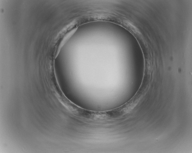 X0000060750401200511241708