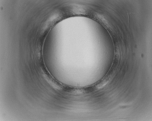 X0000060750402200511241708