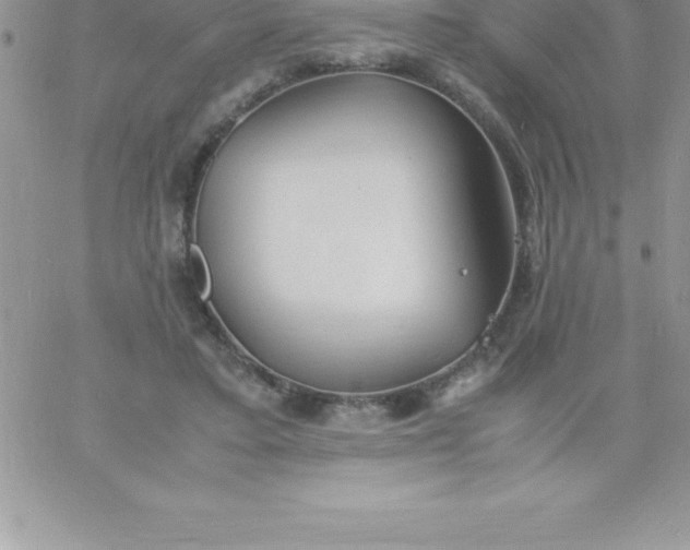 X0000060750403200511241708