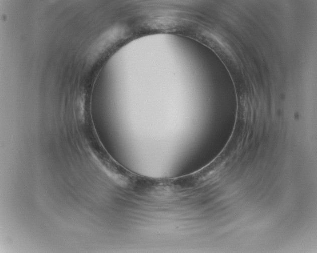 X0000060750404200511241708