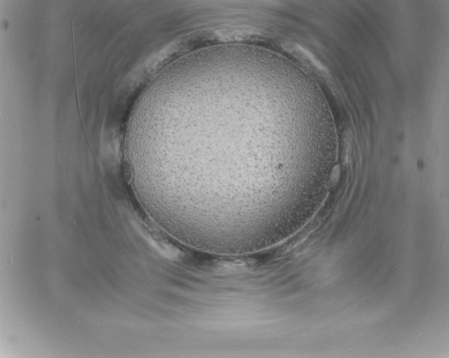 X0000060750405200511241708