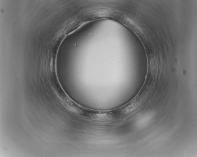 X0000060750406200511241708