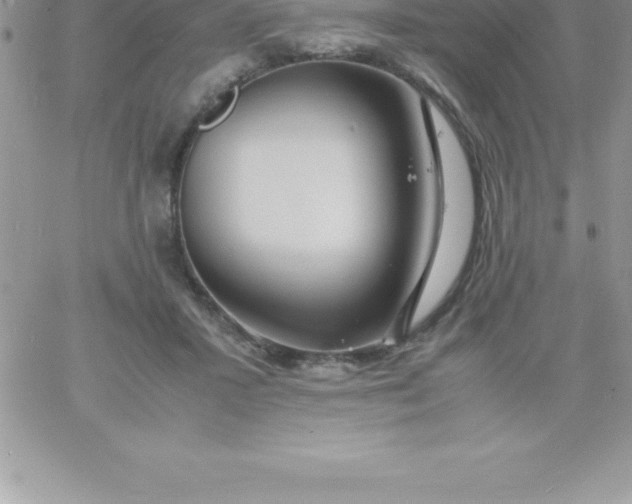 X0000060750407200511241708