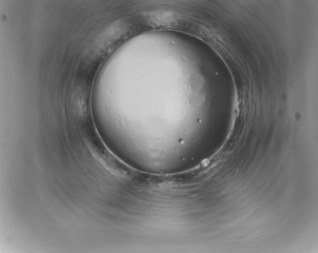 X0000060750408200511241708