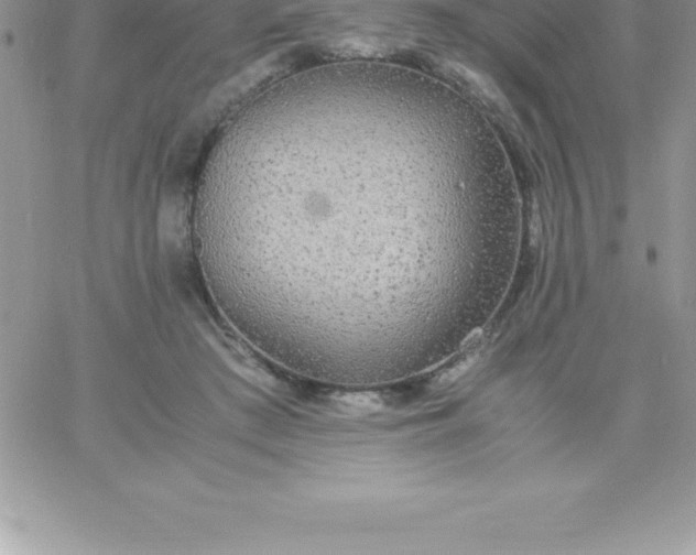 X0000060750409200511241708