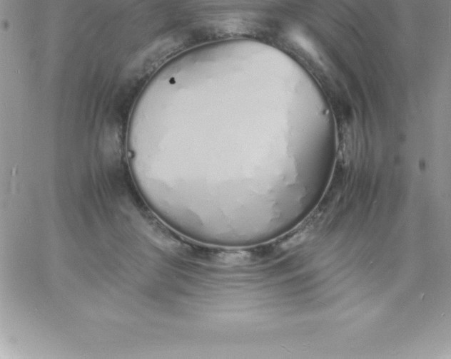 X0000060750410200511241708