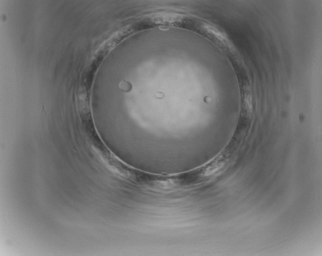 X0000060750411200511241708