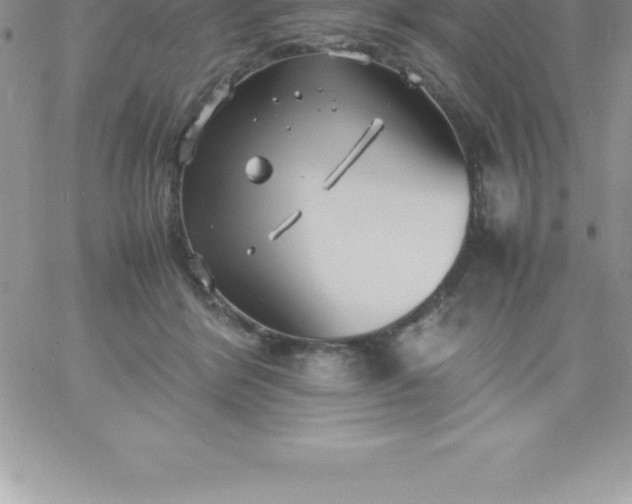 X0000060750412200511241708