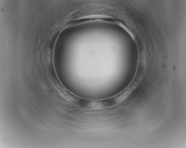 X0000060750413200511241708