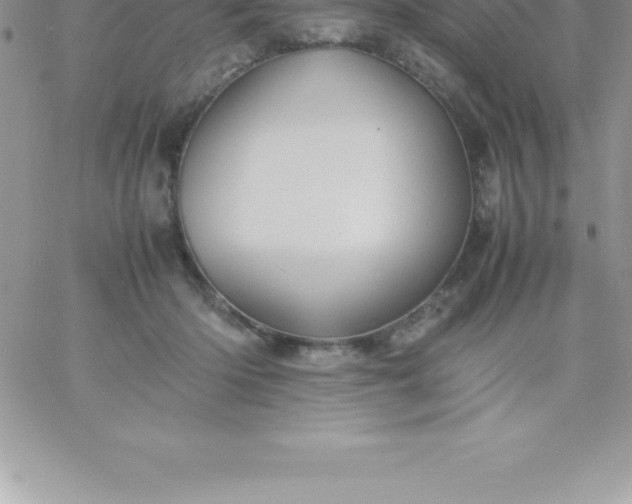 X0000060750414200511241708