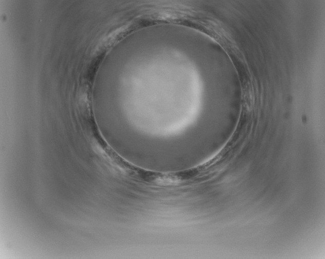 X0000060750415200511241708