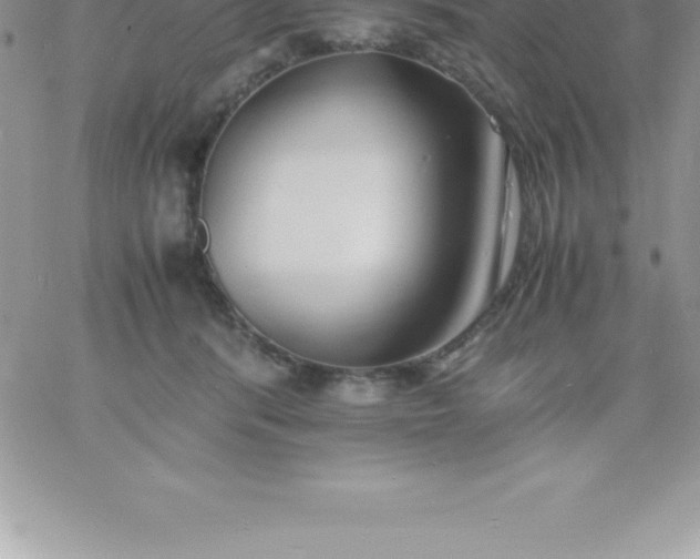 X0000060750416200511241708