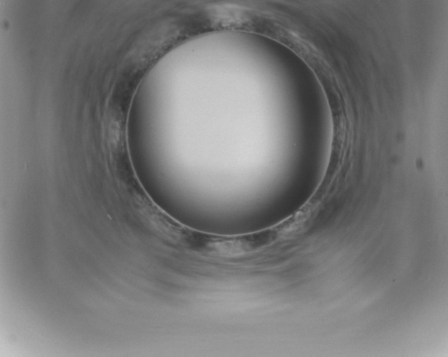 X0000060750417200511241708