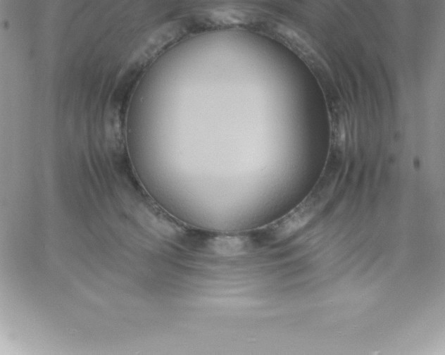 X0000060750418200511241708