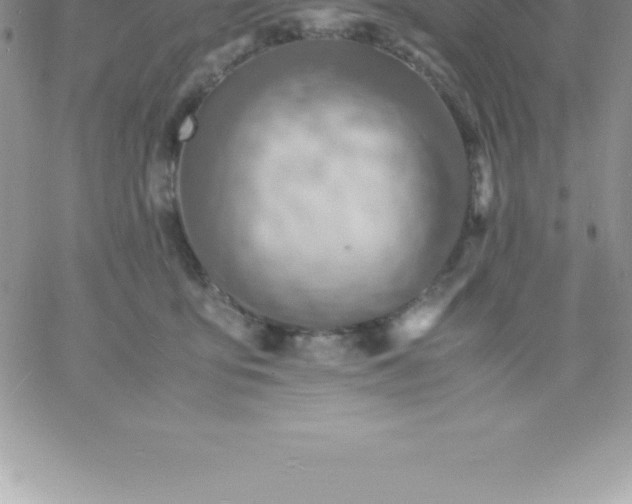 X0000060750419200511241708