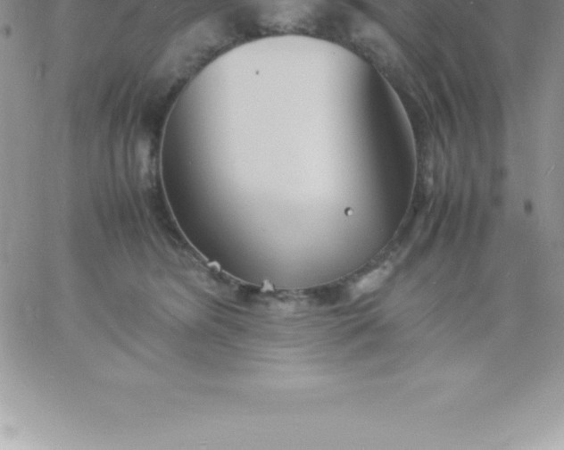 X0000060750420200511241708