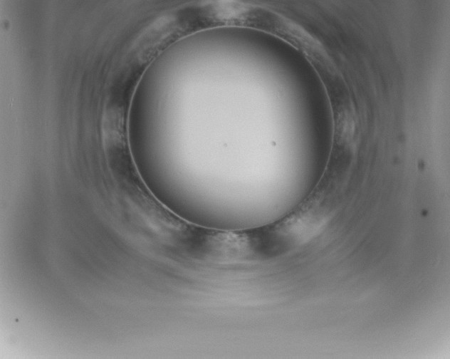 X0000060750421200511241708