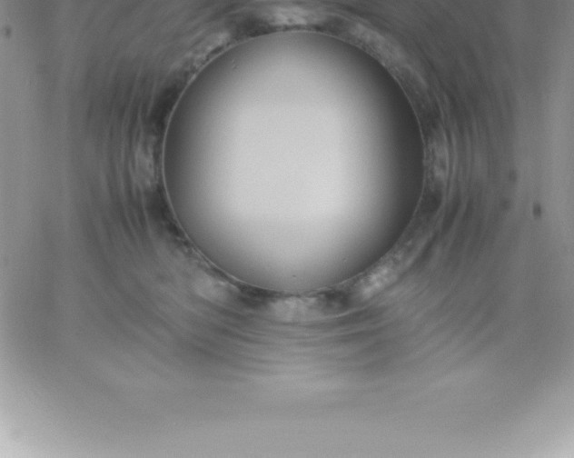 X0000060750422200511241708