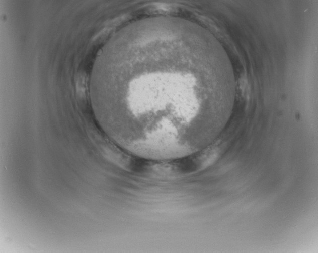 X0000060750423200511241708