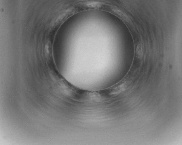 X0000060750424200511241708