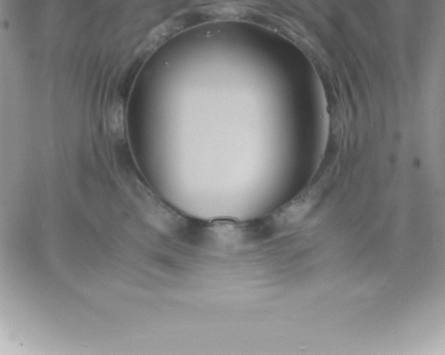 X0000060750425200511241708