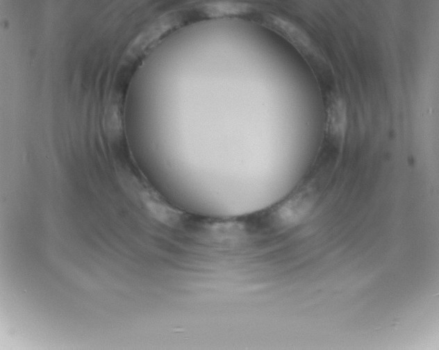 X0000060750426200511241708