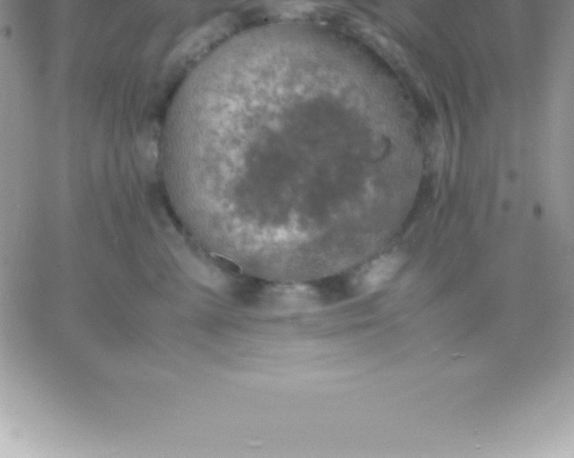 X0000060750427200511241708