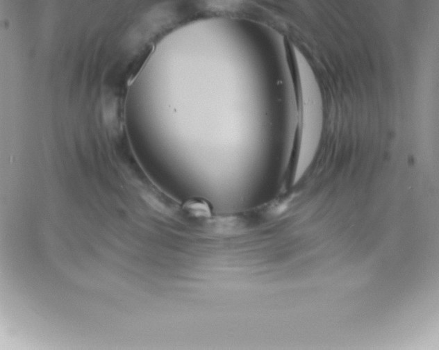 X0000060750428200511241708