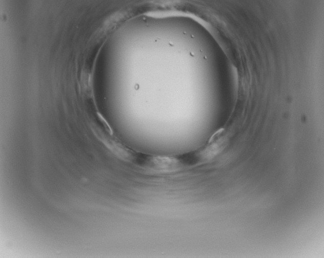 X0000060750429200511241708