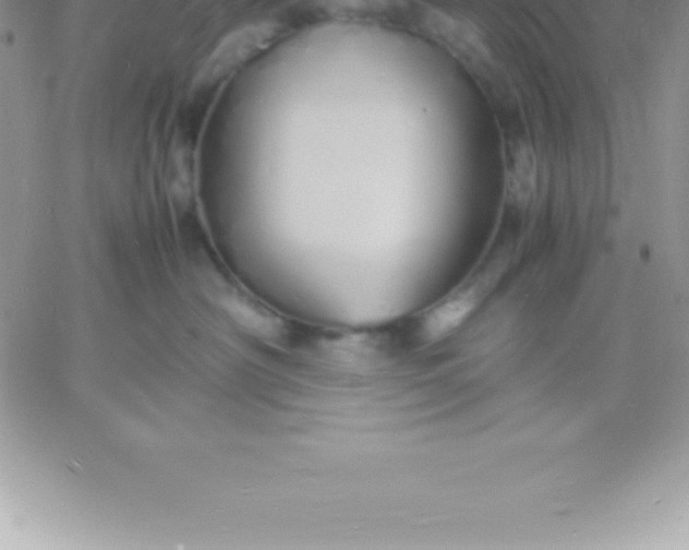 X0000060750430200511241708