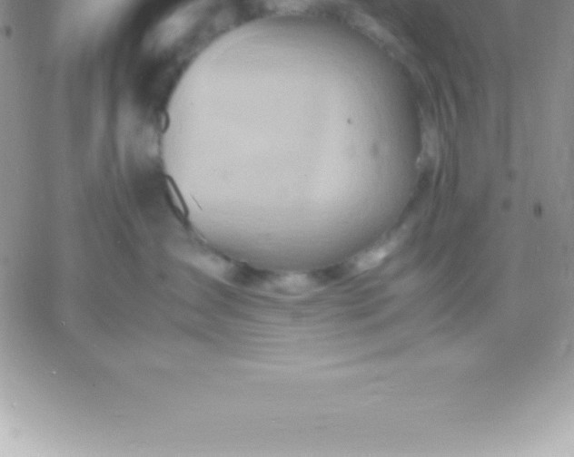 X0000060750431200511241708