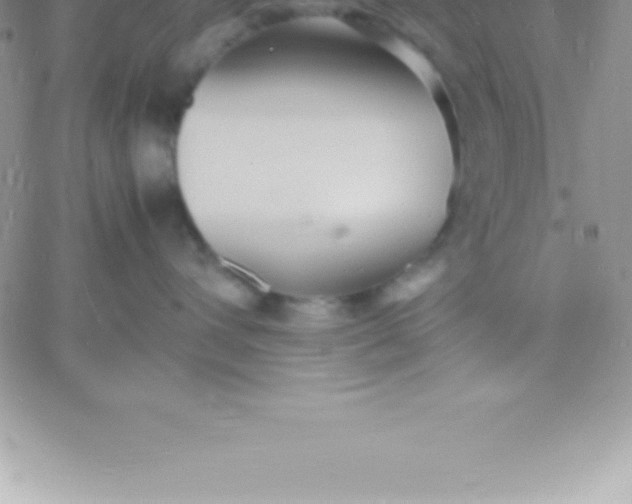 X0000060750432200511241708