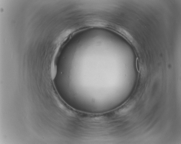 X0000060750433200511241707