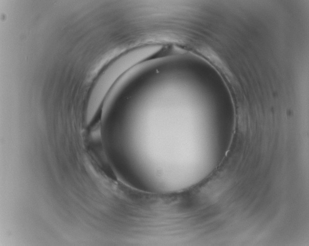 X0000060750434200511241707