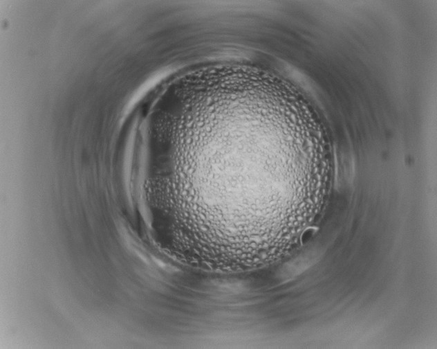 X0000060750435200511241707