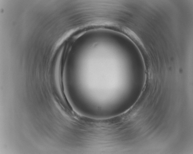 X0000060750436200511241707