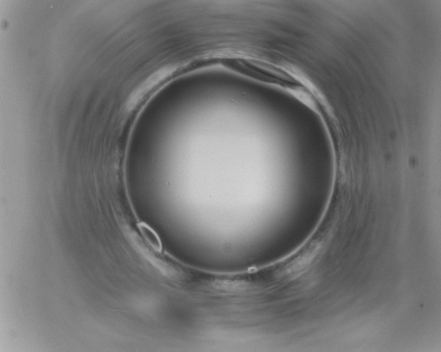 X0000060750437200511241707