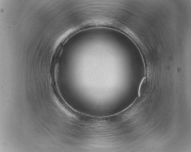 X0000060750438200511241707