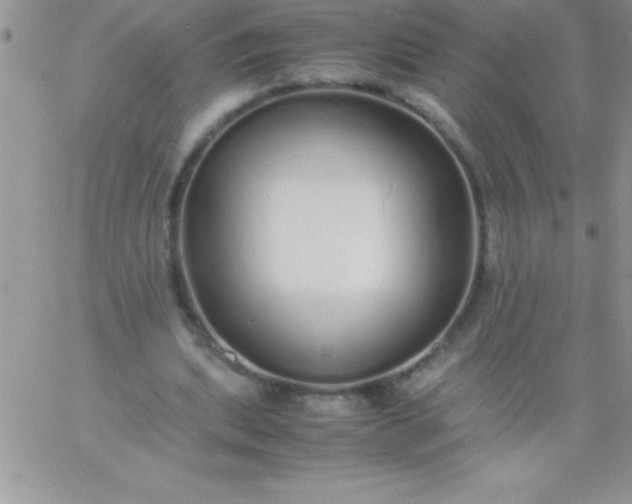 X0000060750439200511241707